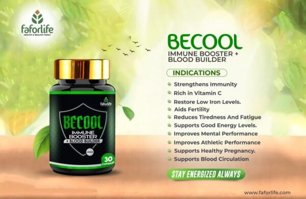 BECOOL-1024x666